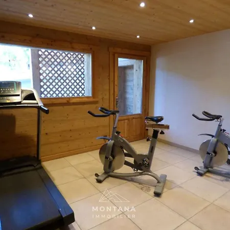 Superbe 5 Pieces Renove Avec Sauna, Hammam, Jacuzzi, Proche Telecabines Et Village, Ideal 12/14 Pers. - Fr-1-458-101